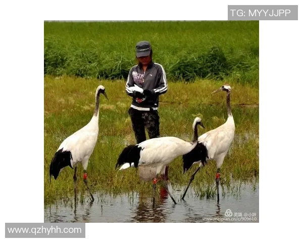 很赖的足球明星背后的真实故事与不为人知的奋斗历程